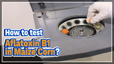 how to test for aflatoxin